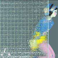 Prix du fil de fer clair recuit de 6 mm, maille de fil de fer opaque, motif figuré, verre filé - Product Image 2