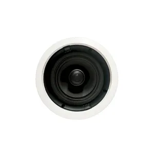 Wholesale china supplier wall-mounted home theater system Indoor loud ceiling speaker