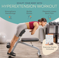 Équipement de fitness à domicile, chaise romaine, capacité de 330 lb, cadre en acier allié, pliable, inclinaison réglable, banc d'hyperextension tout-en-un
