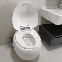 Toilette intelligente avec siège chauffant, fonctionnement automatique, réservoir encastré, installation au sol, télécommande, siphon en S