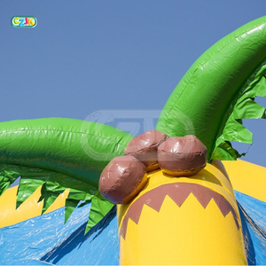 Chine hippopotame château gonflable commercial pour la fête - Product Image 4
