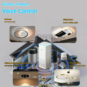 <span class=keywords><strong>Mi</strong></span> thông minh dẫn ánh sáng Trần Dimmable tuya thông minh <span class=keywords><strong>Wifi</strong></span> ánh sáng Trần Đối với trang chủ - Product Image 2