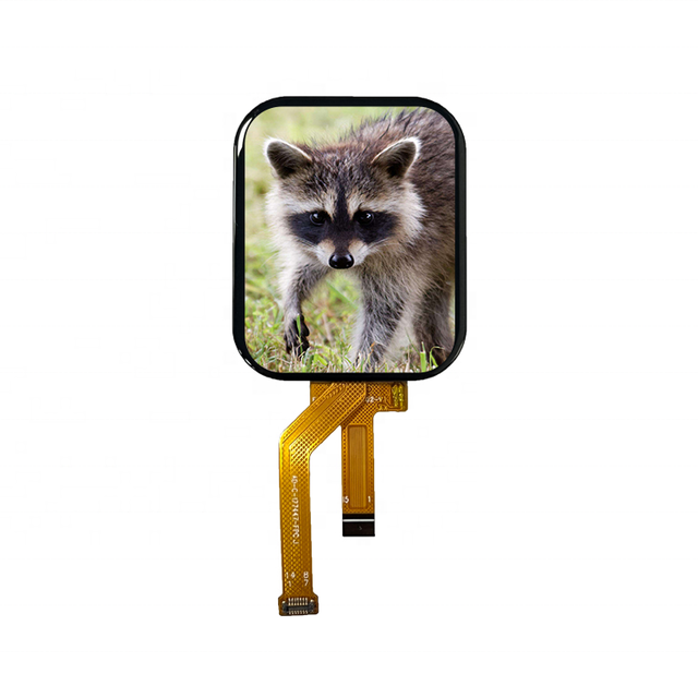 Full view 1.69 1.7 inch IPS 240x280 240*280 Square TFT Color LCD Display 10 pin Touch panel LCD Module for Wearable smart watch