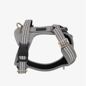 Nuovo stile di moda regolabile prodotti per cani Pet imbracatura all'ingrosso personalizzato per il piccolo cane medio e Lager - Product Image 1