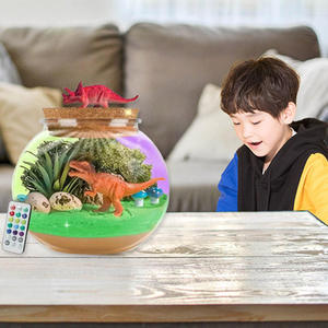 Bouteille miniature DIY pour paysage miniature, jouet sirène, licorne, dinosaure, décor lumineux pour la maison, artisanat de motricité fine, cadeau pour enfants - Product Image 4
