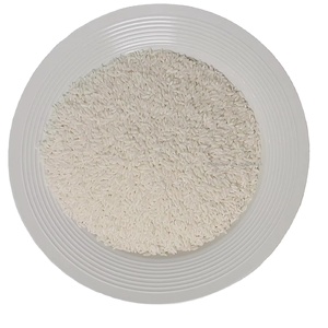 <span class=keywords><strong>Riz</strong></span> Shirataki sec Konjac <span class=keywords><strong>Riz</strong></span> de nourriture de survie de haute qualité pour les diabétiques hypocaloriques sans gras sans gluten - Product Image 2