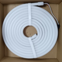 Bande lumineuse flexible en silicone néon RGBIC 24V, bande LED néon flexible pour la décoration de la chambre, de la salle de jeux