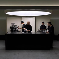 Comptoir de bar à café commercial personnalisable en acier inoxydable, design robuste et écologique, éclairage LED, dimensions sur mesure pour