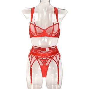 <b>Sexy</b> See-Through Mesh Push-up <b>Bras</b> Panty <b>Sets</b> New Women's Lingerie Feminina for Women - Product Image 6