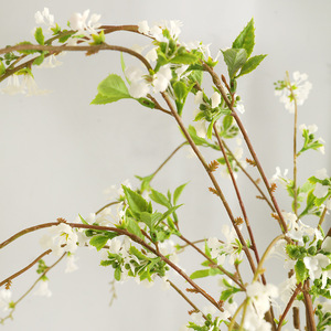 Nuovo Design Moderno: Ramo di Salice Nevoso Artificiale, Pianta Ecologica Naturale per Decorazione d'Interni - Product Image 3