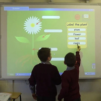 Pizarra blanca interactiva IR-Touch, tablero educativo inteligente Digital, ayuda para profesores, bolígrafo de respuesta instantánea, Punta múltiple