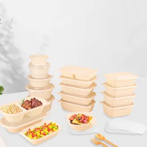 Safe Eco Friendly Degradable Packaging Boxes Corn Starch Takeaway Food Containers Biodegradable Disposable Lunch Box