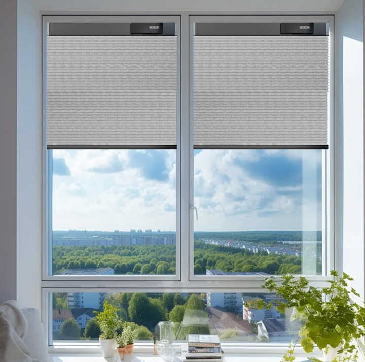 Picture of Motorized Top-Down/Bottom-Up Light-Filtering Cellular Shades