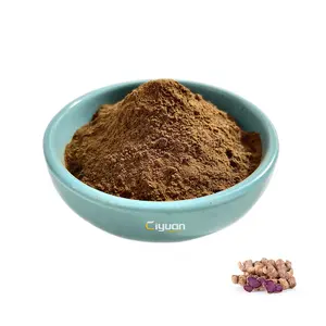 Ciyuan Factory Supplier for Men's Health Care Black Ginger Extract Powder OEM Capsule and Tablets