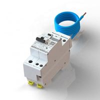 Dispositifs de protection contre les courants résiduels (RCBO) Earth Connection, cuivre PA66, 1P+N, 6A-40A, 10mA-30mA, type électronique A, OLDFANG DSG18-40, 4.5kA