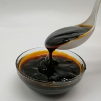 Sauce aux huîtres santé 700g, saveur huître végétarienne, pour plats sautés