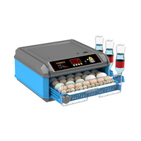 Incubateur d'œufs portable 12 œufs de petite taille, couveuse avec tiroir
