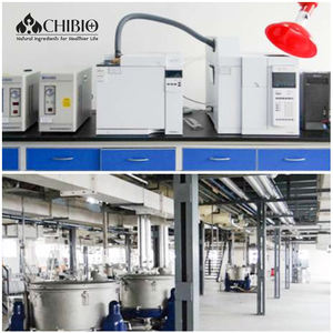 Kosher sertifikası sığır kollajen sığır hidrolize kollajen tozu ortak bakım ve kas bina - Product Image 6