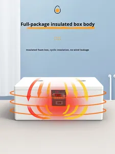 <span class=keywords><strong>Incubateur</strong></span> d'<span class=keywords><strong>oeufs</strong></span> de caille domestique entièrement automatique petit lit d'eau boîte d'<span class=keywords><strong>incubateur</strong></span> d'oie de canard de poulet intelligente en plastique durable - Product Image 5