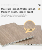 Vente directe d'usine Panneaux muraux en nid d'abeille Panneaux muraux imperméables anti-moisissure Panneaux en nid d'abeille en aluminium pour intérieur