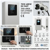 Borne de recharge murale DC pour véhicules électriques SHUOLEX 7kW-40kW, station de charge rapide 200V-1000V, large plage de tension, chargeur rapide pour voitures électriques CCS2 GB/T