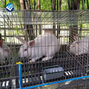 Cage de lapin pratique de haute qualité, idéale pour élevage de lapin - Product Image 1