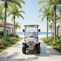 Nouvelle voiturette de golf et de chasse électrique à batterie lithium 60V MMC 2WD, 4 places, 25 MPH, autonomie 70-90 km