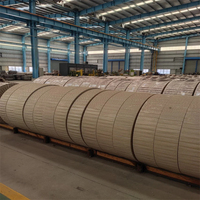 Núcleo toroidal de acero de silicio orientado de bajo precio de fábrica para transformador del fabricante de China 0,35mm