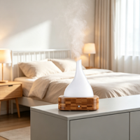 Diffuseur d'arômes ultrasonique pour huiles essentielles, petit humidificateur de bureau à effet bois, machine à parfum pour la maison et la chambre
