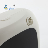 Machine à parfumer professionnelle, diffuseur d'arôme, nébuliseur d'air, pour la maison, g