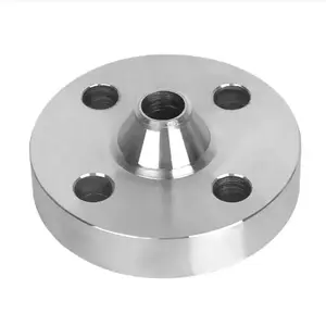 stainless steel forged flange SS304 WNRF
