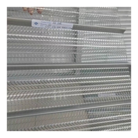Fabricants réputés : Treillis métallique galvanisé à chaud à haute nervure pour le plâtrage et le coffrage en béton – Vente en gros