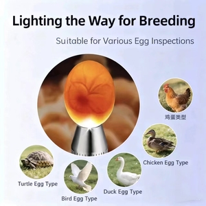 Lampe à œufs LED portable, rechargeable, pour vérifier la fertilité des œufs, pour l'écloserie domestique - Product Image 2
