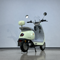 Systèmes de motos électriques tout-terrain modernes aux spécifications standard avec des performances de couple supérieures pour les développements hôteliers