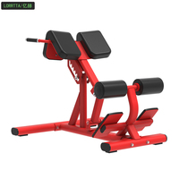 Chaise romaine réglable et durable pour l'entraînement du bas du dos – Équipement de fitness pour la musculation du bas du dos