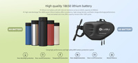 Kit de conversion électrique pour vélo pliant 250W compatible avec Brompton, moteur de roue avant, système de batterie avec contrôle intelligent, 16 pouces