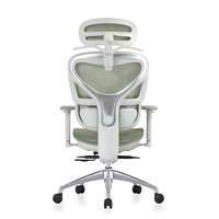 Milieu Du Dos Support Lombaire Fauteuil Visiteur Personnel De Travail Exécutif Ergonomique Chaise De Bureau