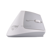 Mouse Nirkabel Ergonomis Vertikal Komputer dengan Logo Kustom OEM