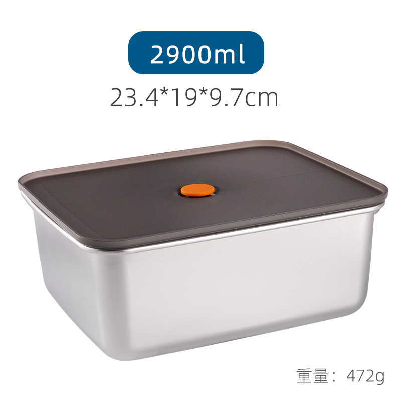 2900ml
