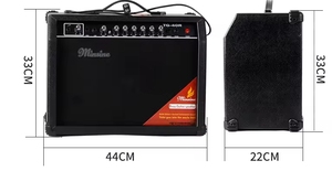 Minsine TG-40R 40 Watt Gitaarversterker met 6,5 inch 4 Ohm houten speaker en basregeling - Product Image 5