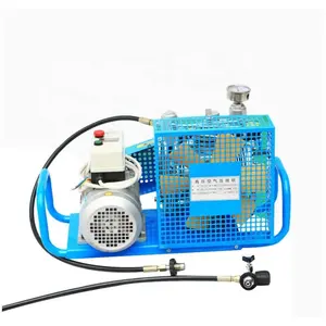 Lead The Industry Golden Supplier High Pressure Diving Air Compressor For Scuba