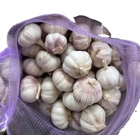 Ail blanc pelé Sinofarm, gousses d'ail chinois 4,5-6 cm, 10 kg/carton, sac en filet de 20 kg, prix de gros, ail frais congelé pour l'exportation