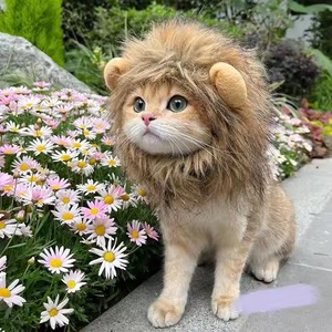 Perruque de Lion en Fausse Fourrure Réglable pour Chien et Chat, Confortable et Fantaisie, Idéale pour les Fêtes d'Hiver - Product Image 1