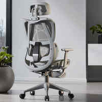Oem Haute Qualité 2d 3D Accoudoirs Réglables Gris Loisirs Bureau Ergonomique Ordinateur Chaise de Bureau Chaise en Maille pour Bureau d'Étude