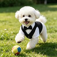 Gilet rayé et chemise blanche avec nœud papillon, design gentleman, pour mariage, séance photo, tenue pour animal de compagnie