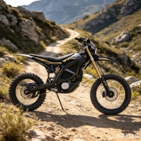 Vélo Électrique Tout-Terrain Surron Ultra Bee 2026 de Haute Qualité, Vitesse Rapide de 95 km/h, Modes Sélectionnables pour les Passionnés de Course