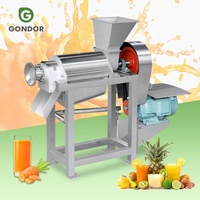Grote Comericals Mango Pinnapple Moerbei Guave Sinaasappelsap Meloen Fruit Juicer Maken Persmachine