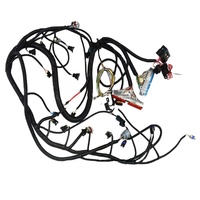 1997-2006 LS1 LS2 LS3 câble d'entraînement faisceau de câbles de moteur automobile 4L60E/4L80E Transmission EV1 carburant moto PVC cuivre