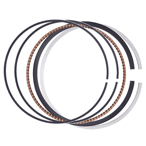 Pièces de moteur de moto segments de piston STD 89mm pour <span class=keywords><strong>KTM</strong></span> <span class=keywords><strong>390</strong></span> <span class=keywords><strong>Adventure</strong></span> 2020-2023 <span class=keywords><strong>390</strong></span> Duke 2015-2023 <span class=keywords><strong>390</strong></span> RC 2015-2020 <span class=keywords><strong>2022</strong></span> 2023 - Product Image 2