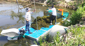 Machine portative de moissonneuse de mauvaises herbes aquatiques <span class=keywords><strong>pour</strong></span> le transport facile <span class=keywords><strong>d</strong></span>'étangs de petits lacs assemblent le noyau de moteur <span class=keywords><strong>pour</strong></span> l'herbe de tapis <span class=keywords><strong>d</strong></span>'algues de chou - Product Image 3